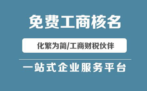 河南掌上登記名稱自主申報流程(名稱自主申報字號怎么填寫)